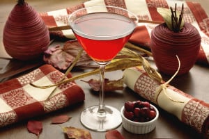 bigstock-Cranberry-Cranberry-Cocktail-W-51909142