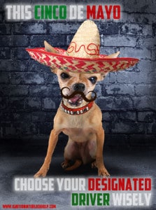 celebrate cinco de mayo safely