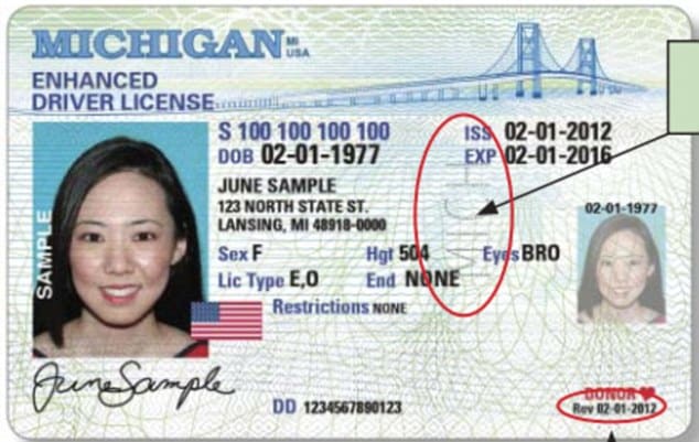 How to Spot a Fake Driver's License in Michigan